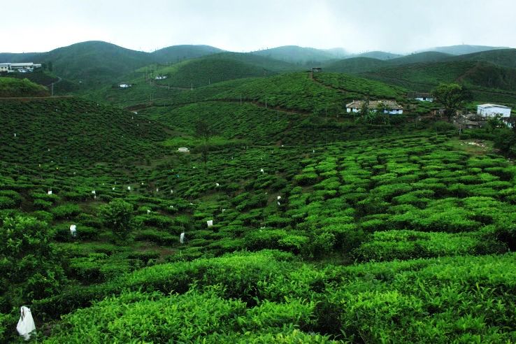 6. Idukki